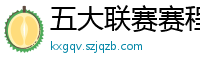 五大联赛赛程时间表2024年